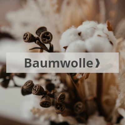 Unsere Baumwollstoffe kaufen bei Stoffhaus Tippel
