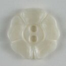 Blume wei&szlig;
