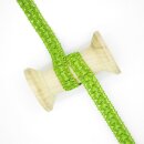 Zierborte 19 kiwi