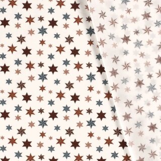 Weihnachts - Stoff Reflecting Star