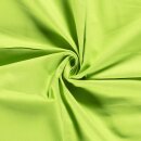 Canvas 24
